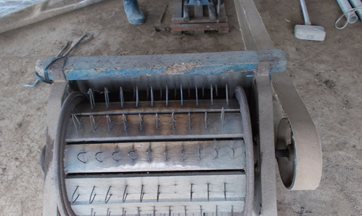 国産草(つくば産・三浦産・東根産)写真09