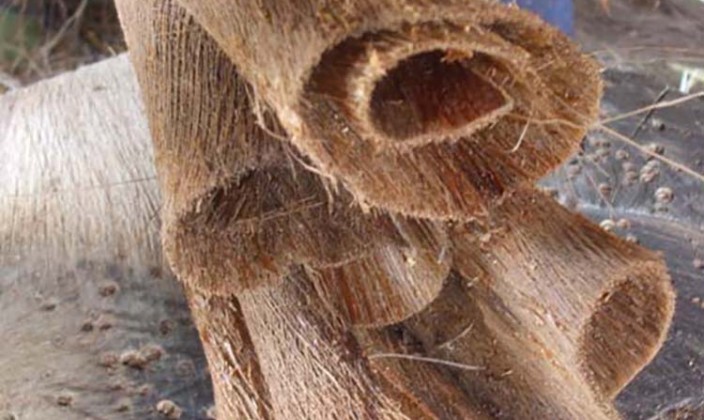 村井徳夫氏の写真7